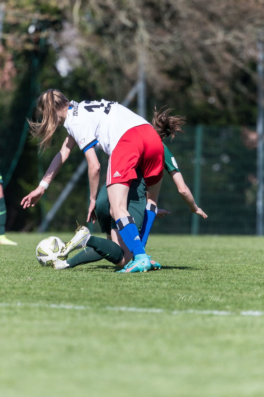 Bild 234 - wBJ Hamburger SV - WfL Wolfsburg : Ergebnis: 2:1